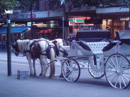 Truyền nhân cuối cùng đóng xe thổ mộ trên đất Bình Dương